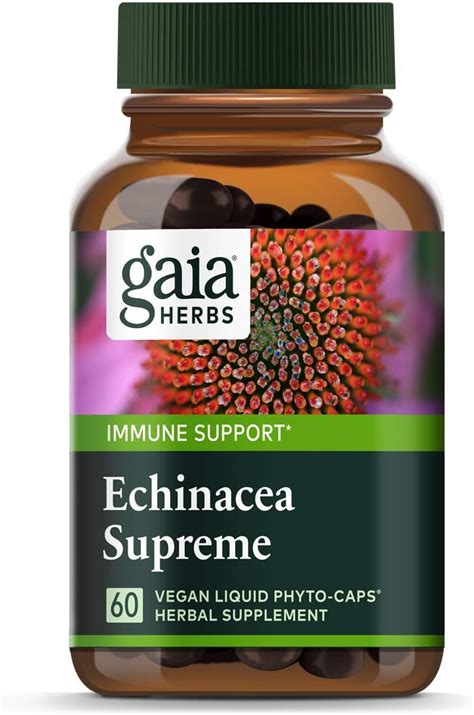 Ranking the best echinacea supplements of 2021 - Body Nutrition