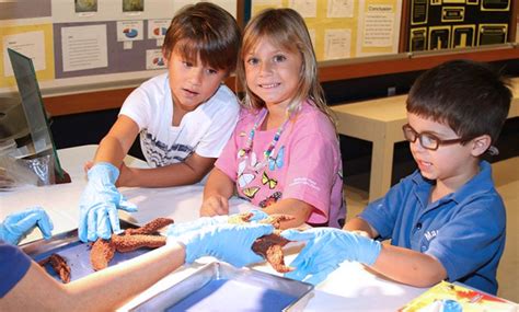 Evening Museum Visit - Cox Science Center | Groupon