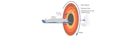 What is Tesla in an MRI Scanner? | AmberUSA Blog