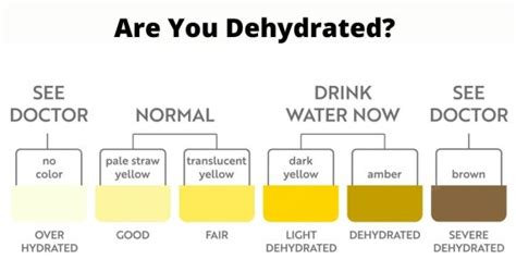 Urine Color Chart