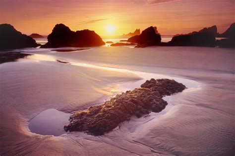 Oregon Coast Sunset - Alan Majchrowicz Photography