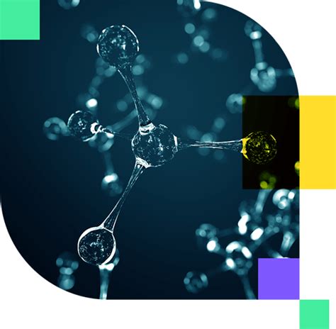 Small Molecule Bioanalysis: Unveiling the Secrets of Cellular ...