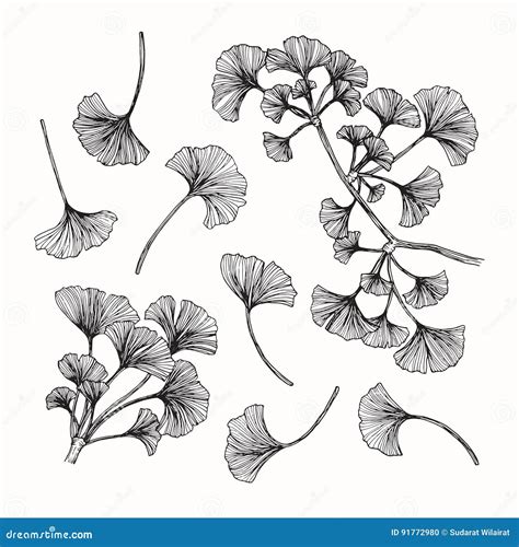 Ginkgo Leaves Seamless Pattern Royalty-Free Stock Photography | CartoonDealer.com #32599991