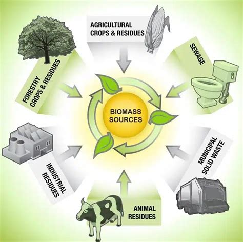 जैव मात्रा ऊर्जा (जैव-ऊर्जा): Biomass Energy (Bio-energy)