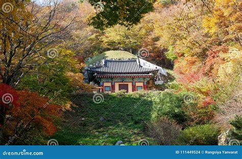 Seokguram Grotto Temple in Autumn. Stock Photo - Image of ancient ...