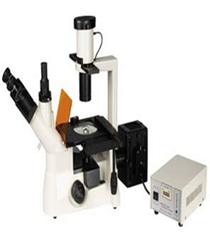 Inverted Fluorescence Research Microscope at Best Price in Ambala Cantt | Quality Scientific ...