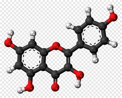 Download Gratis | Flavonoid Quercetin Apigenin Polyphenol Flavonols ...