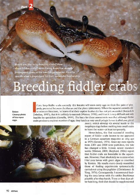 (PDF) Breeding Fiddler Crabs in Captivity