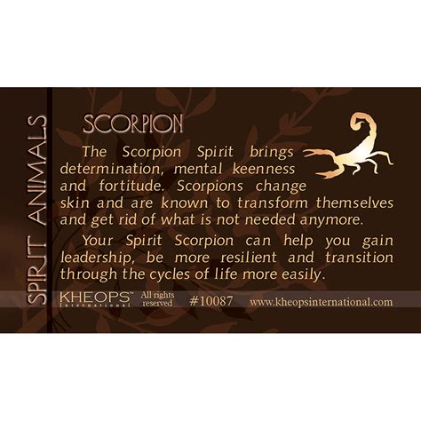 Spirit Animal Info Card Scorpion (Each): Kheops International