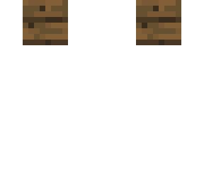 spruce planks | Minecraft Skin