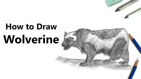 How to Draw a Wolverine with Pencils [Time Lapse] - YouTube