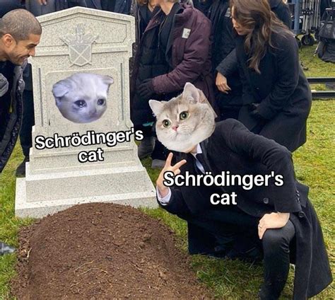 Schrodinger's Cat | /r/Memes | Know Your Meme