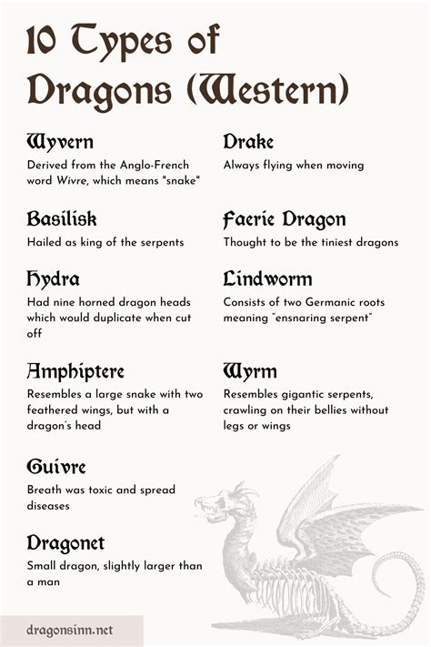 Types Of Dragons Chart