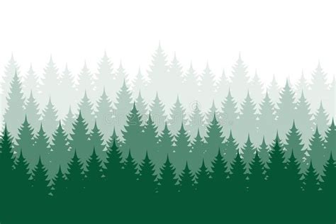 Forest background, nature, landscape. Evergreen coniferous trees. Pine, spruce, christmas tree ...