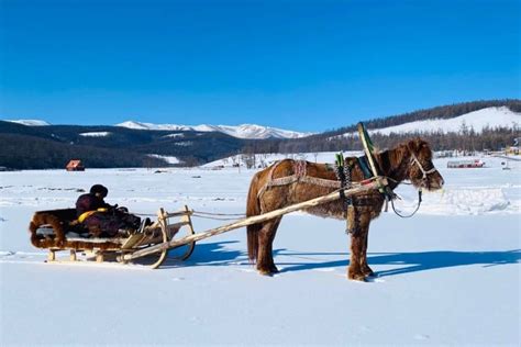 Reindeer Herders: Frequently Asked Questions - Discover Altai