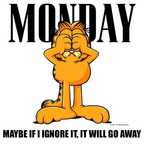 Pin by Johanna Aviles on Garfield (With images) | Garfield quotes, Cartoon jokes, Garfield pictures