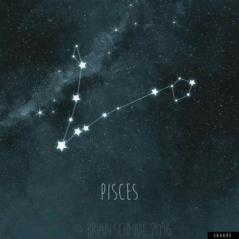 Cung cấp ảnh về 12 chòm sao - 3 | Pisces constellation art ...