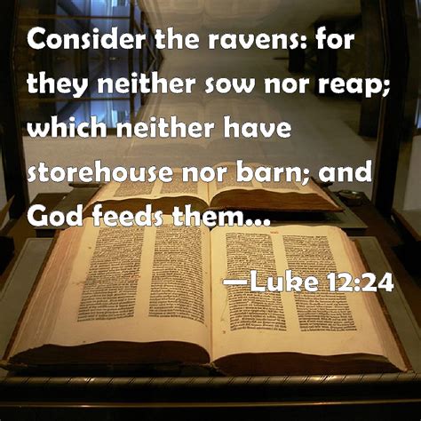 Luke 12:24 Consider the ravens: for they neither sow nor reap; which neither have storehouse nor ...