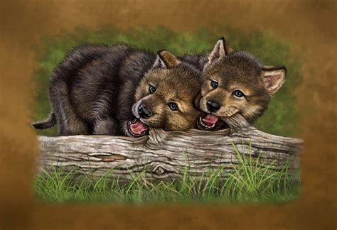 Cute Wolf Pups Drawings