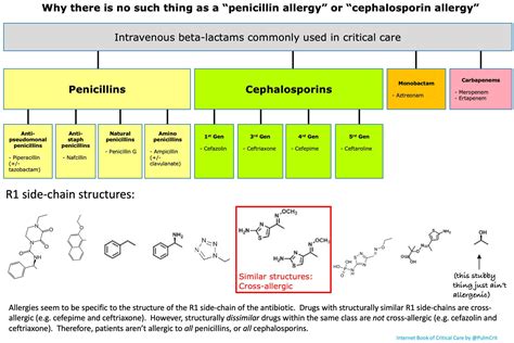 Beta Lactam Cross Reactivity Chart