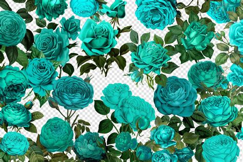 Teal Rose Wallpapers - Top Free Teal Rose Backgrounds - WallpaperAccess