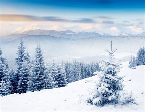 3840x2979 winter 4k wallpaper hd desktop | Natuur, Wallpapers, Winter