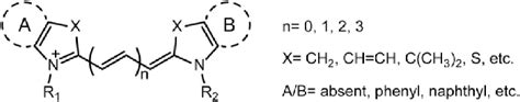 The typical chemical structure of cyanine dye. | Download Scientific Diagram