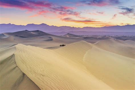 Mesquite Flat Sand Dunes by Zx1106