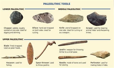 Stone Age | Paleolithic Tools 🗿⚒️🔨🛠️ | Early humans tools, Paleolithic ...