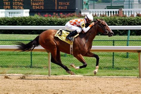 Retama Park Horse Racing is one of the very best things to do in San ...