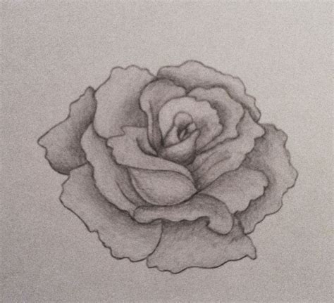 Pencil shaded flower | Shading drawing, Drawings, Hibiscus flower drawing