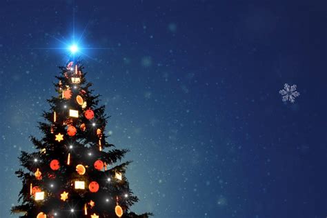 The Top Traditions of the French Christmas Tree - French Moments