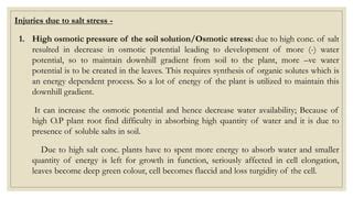 Salinity stress | PPT