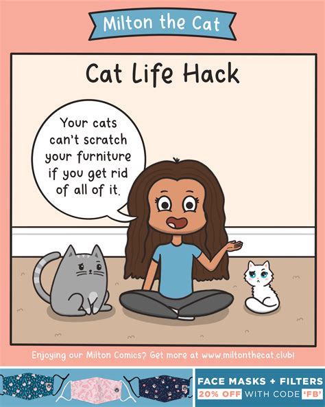 Cat Life Hack – Meowingtons