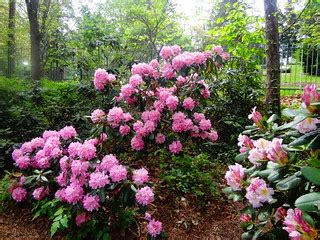 Ann Arbor Arboretum in May | VasenkaPhotography | Flickr