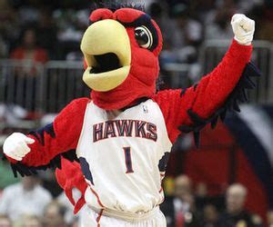 Harry the Hawk, Atlanta Hawks mascot. | Mascot, Basketball camp, Basketball training