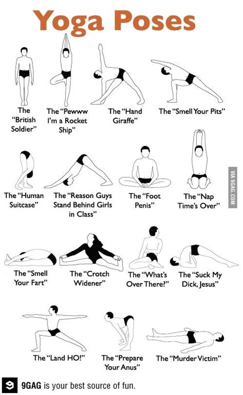 Accurate names for yoga poses | Funny yoga poses, Yoga funny, Yoga poses