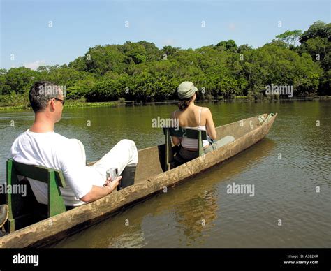 Amazon Rainforest Ecuador Stock Photo - Alamy