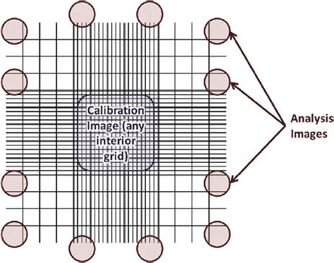 Photo locations on haemocytometer grid. | Download Scientific Diagram