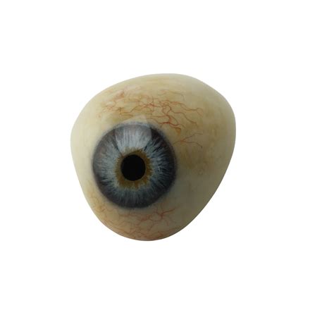 Realistic eye png png photo download