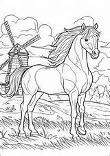 Printable Mill Complex Coloring Pages For Adults sketch template