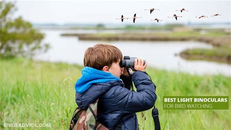 Best binoculars with camera for bird watching - glopassl