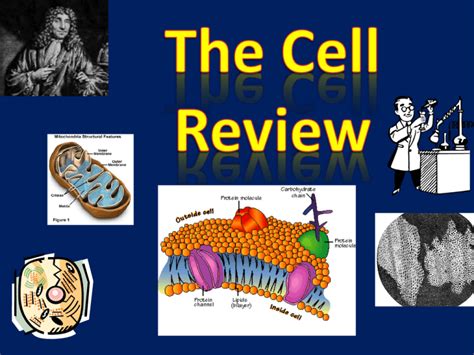 The Cell Review