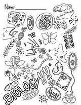 Biology Science Coloring Sheets Printable Sketch Page sketch template