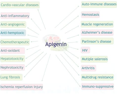 Apigenin Powder 98%, Ingredient Manufacturer in China | Cima Science