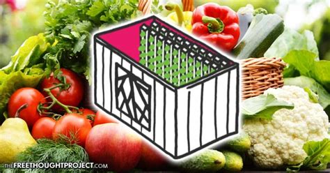 Kimbal Musk's “Urban Farming Accelerator” Grows 2 Acres of Food in a Single Shipping Container ...