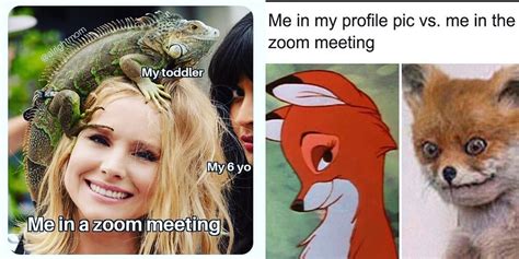 Zoom Meeting Meme Funny : Funny Zoom Memes 50 Laughs At The Crazy Of Video Calls / A student ...