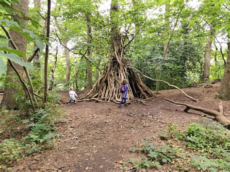 Everything you need to know about Delamere forest walks