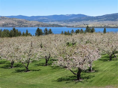 Meet Flathead Lake, Montana's Biggest Secret — Flathead Lake Lodge ...