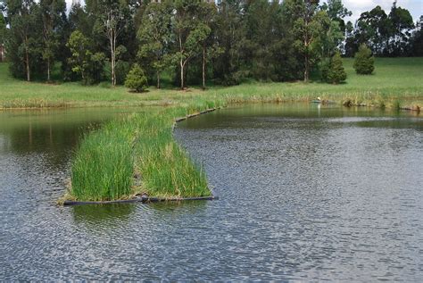 Penrith Lakes Regatta Centre - Harris Environmental